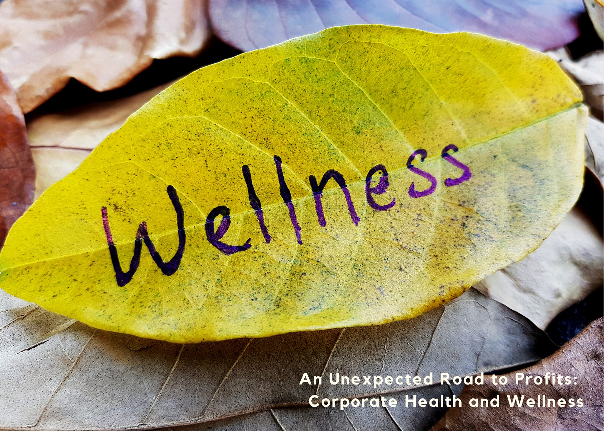 Featured image for “An Unexpected Road to Profits: Corporate Health and Wellness”