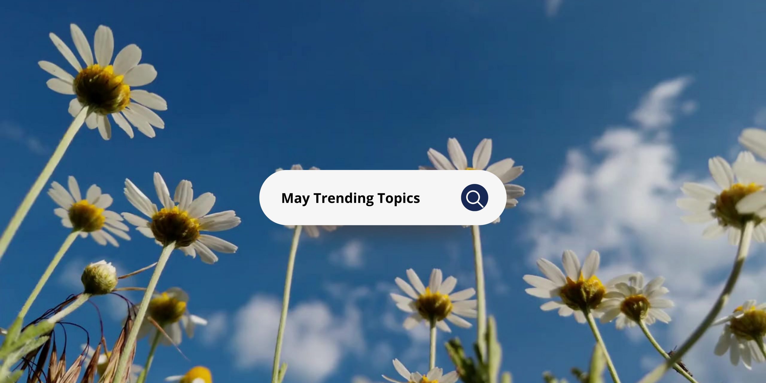 Featured image for “May 2023 Trending Topics”